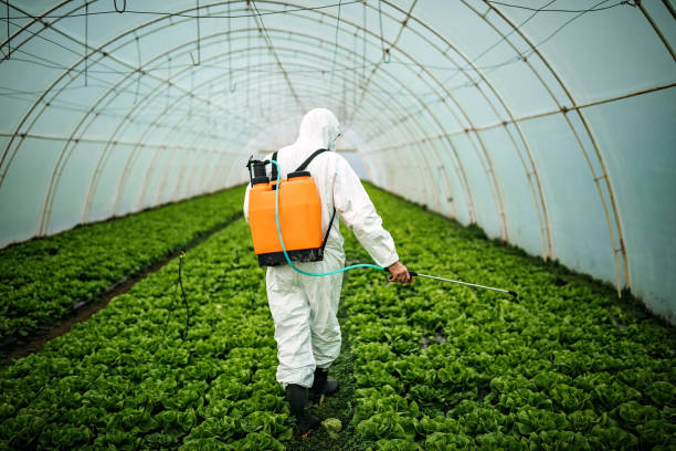 Best Commercial Pest Control Services  in Lake Grove, NY